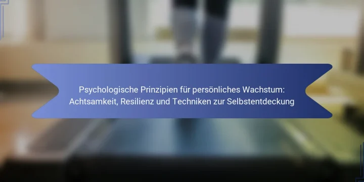 Psychologische Prinzipien für persönliches Wachstum: Achtsamkeit, Resilienz und Techniken zur Selbstentdeckung