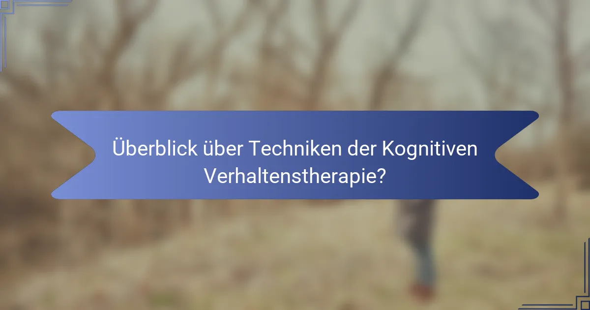 Überblick über Techniken der Kognitiven Verhaltenstherapie?