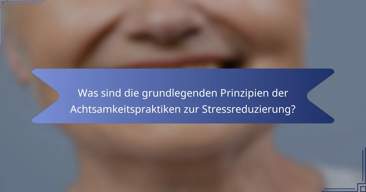 Was sind die grundlegenden Prinzipien der Achtsamkeitspraktiken zur Stressreduzierung?
