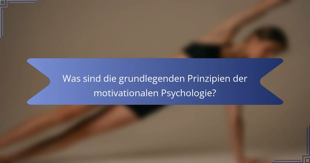 Was sind die grundlegenden Prinzipien der motivationalen Psychologie?