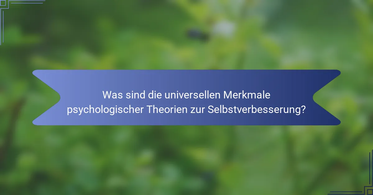 Was sind die universellen Merkmale psychologischer Theorien zur Selbstverbesserung?
