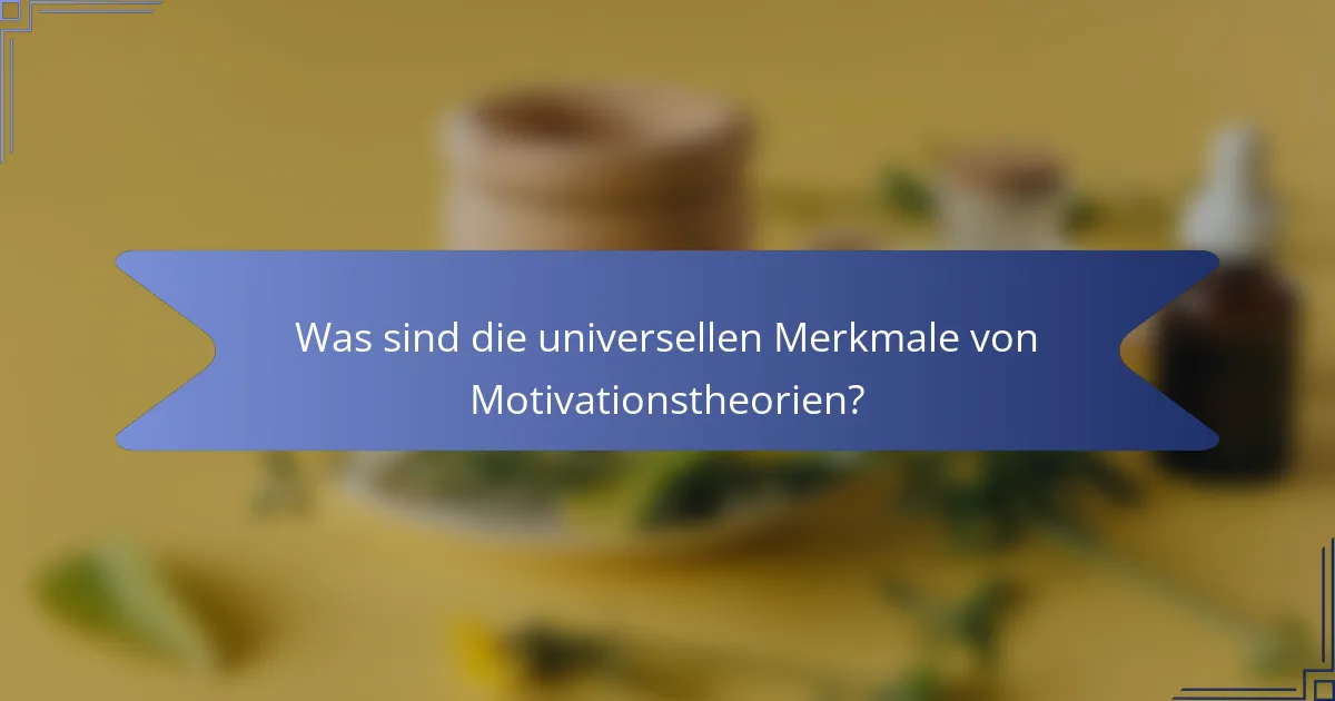 Was sind die universellen Merkmale von Motivationstheorien?