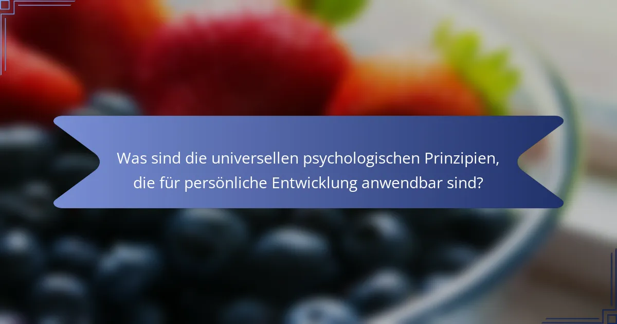 Was sind die universellen psychologischen Prinzipien, die für persönliche Entwicklung anwendbar sind?
